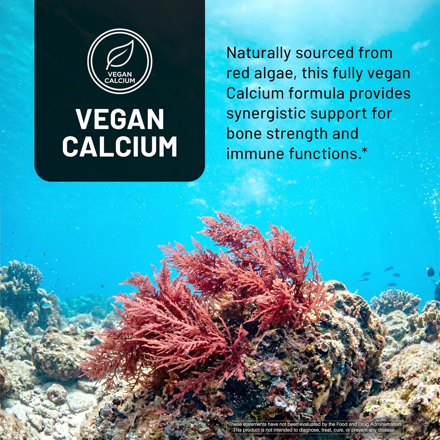 image:imageNatureWise Algae Calcium Plus with Aquamin Calcium Magnesium Vitamin C D3 and K2 Vegan Algae Calcium Supplements for Women amp Men Bone Health Support NonGMO 120 Capsules60Day Supply