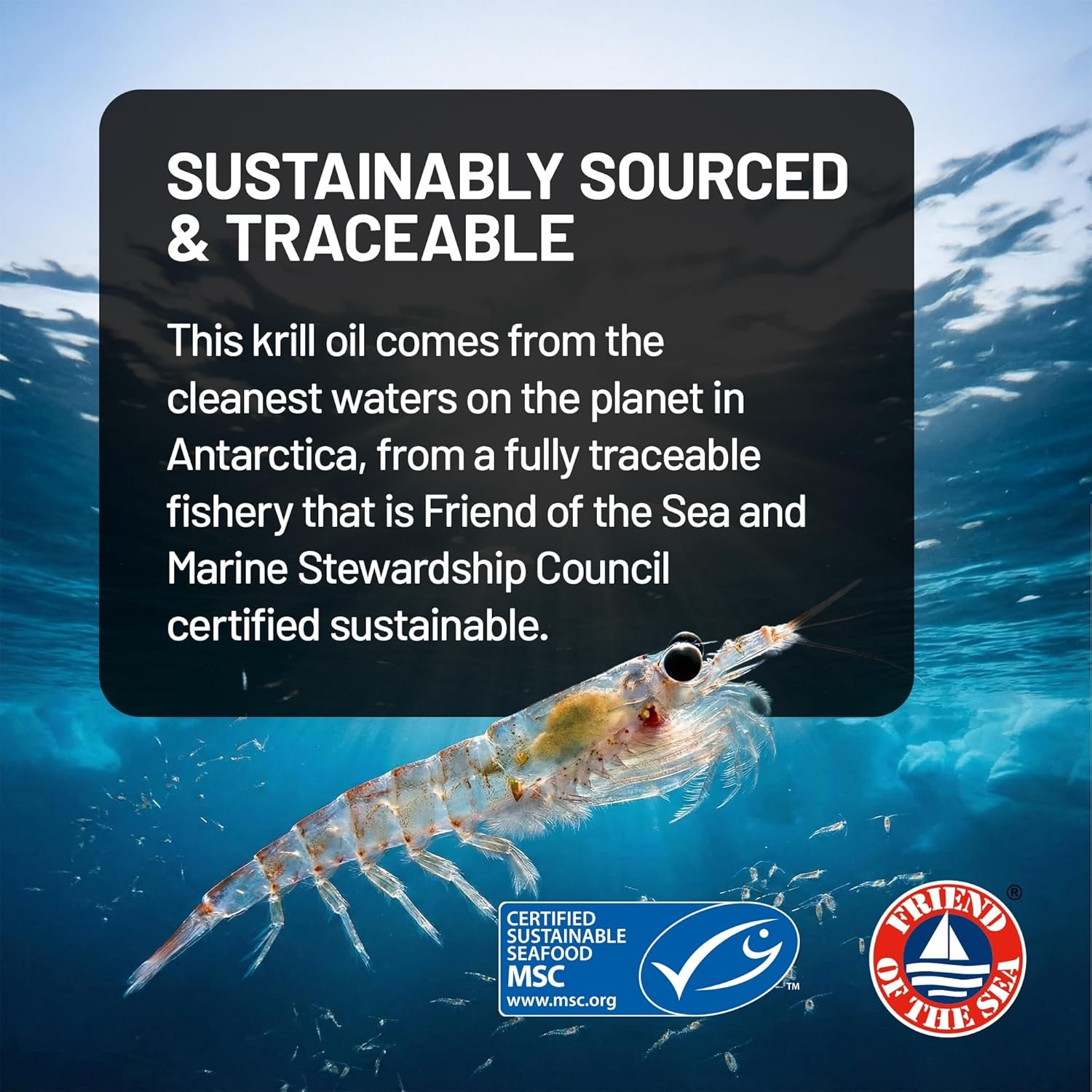 image:imageNatureWise Krill Oil 1000 mg Vitamin D3 6000 IU SUPERBAboost Concentrated Antarctic Krill Oil Omega3 EPA amp DHA Phospholipids amp Astaxanthin NonGMO 60 Softgels30 Day Supply