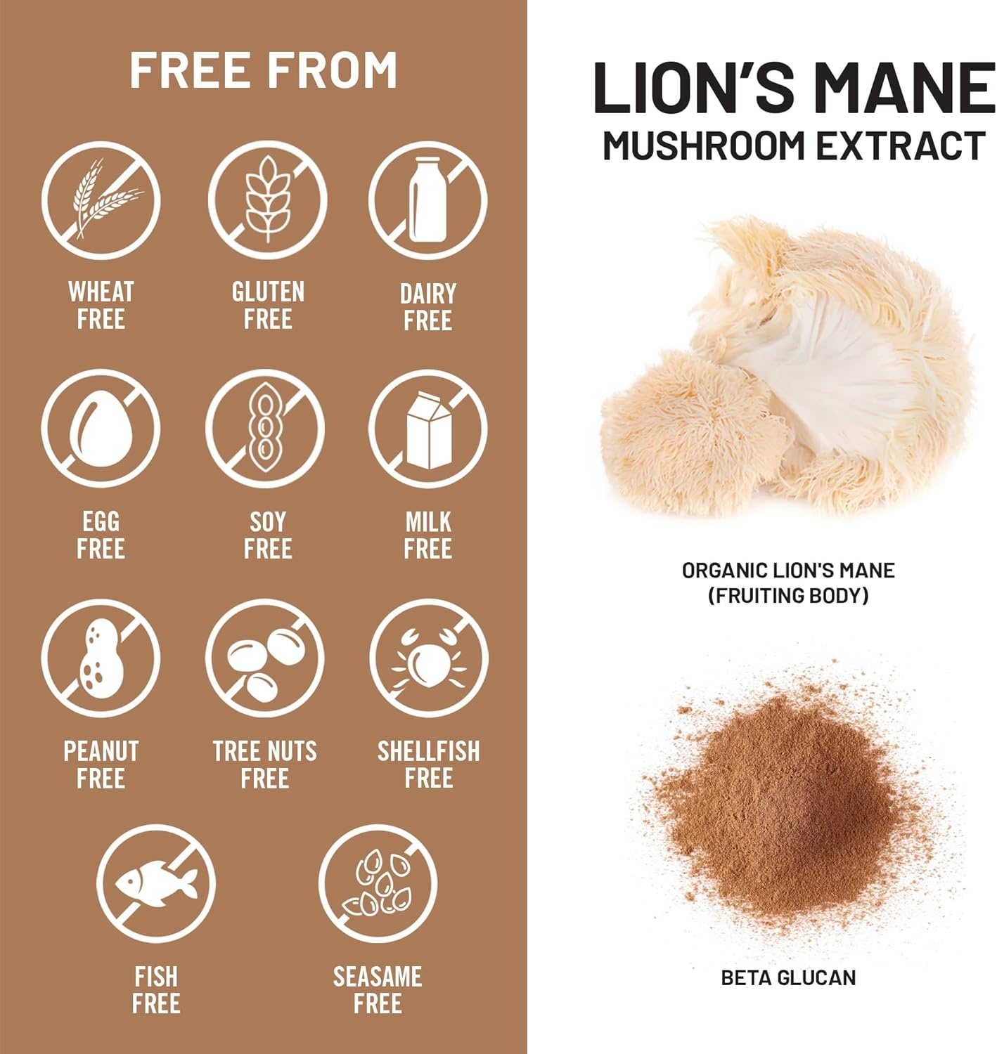 image:imageNatureWise Lions Mane Mushroom Supplement Organic Lions Mane Mushroom Extract 1200mg 360mg Beta Glucans Cognition amp Brain Support Vegan NonGMO USA Manufactured 120 Capsules60 Day Supply