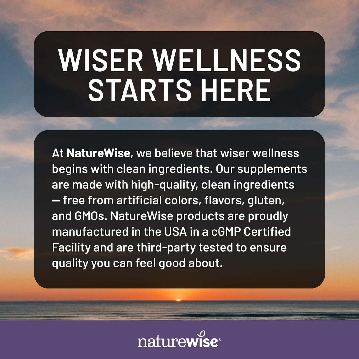 image:imageNatureWise Melatonin 10mg Sugar Free Fast Dissolve Melatonin Supplement NonGMO Vegan USA Manufactured 100 Tablets100 Day Supply10MG