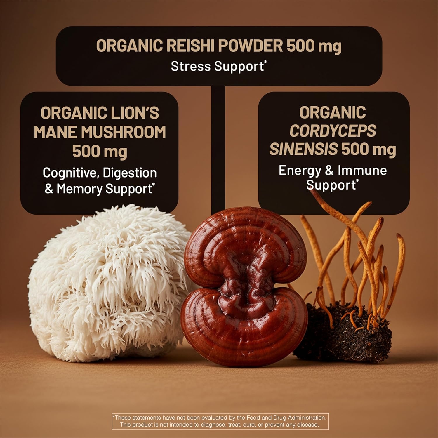image:imageNatureWise Mushroom Complex with Organic Lions Mane Reishi amp Cordyceps Sinensis Lions Mane Supplement with Organic Mushrooms Vegan NonGMO USA Manufactured 90 Capsules30Day Supply