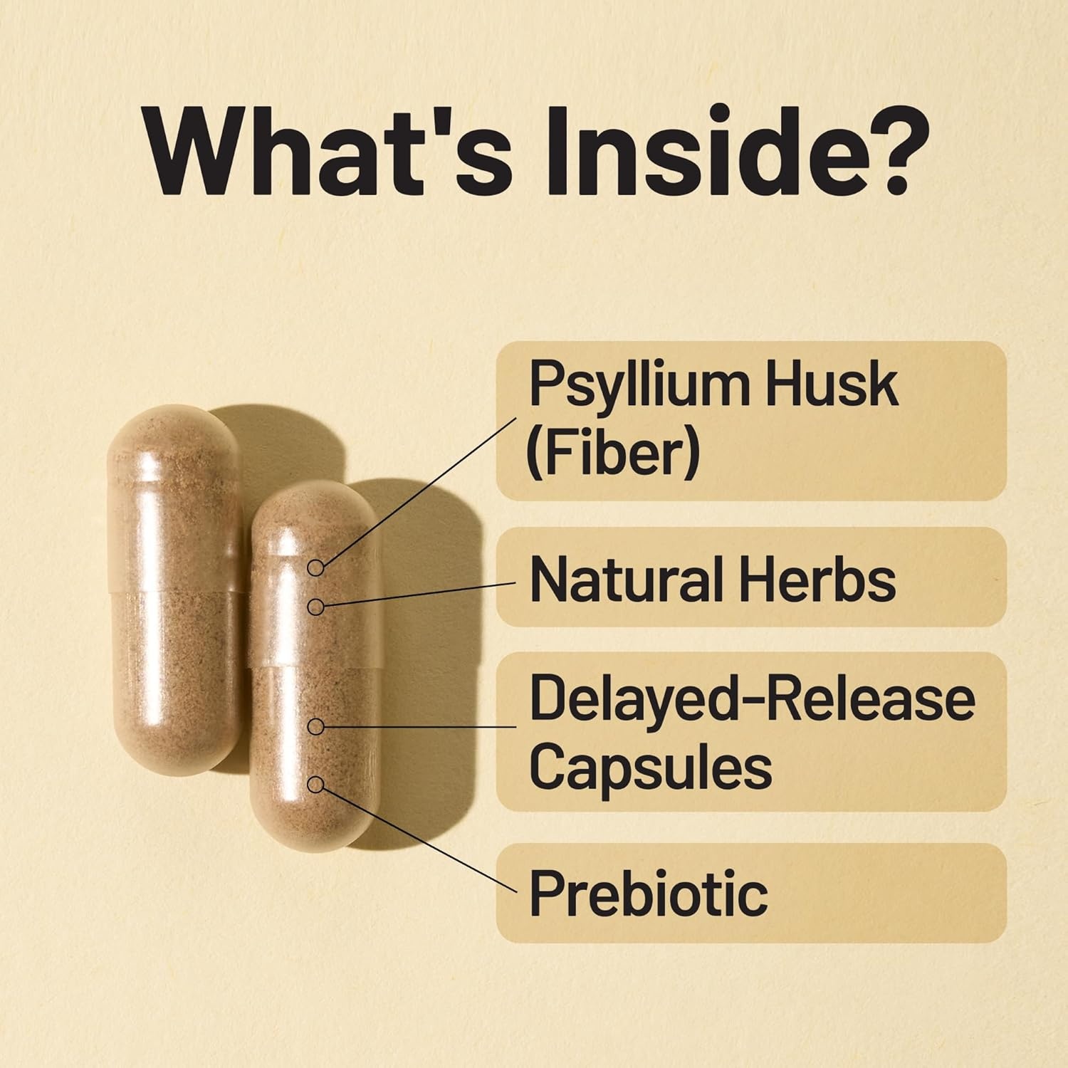image:imageNatureWise Total Colon Care Fiber Cleanse Natural Laxative Blend Herbal Laxatives Prebiotics amp Enzymes for Regularity Digestion Weight amp Gut Health NonGMO 60 Capsules30Day SupplyFiber Cleanse