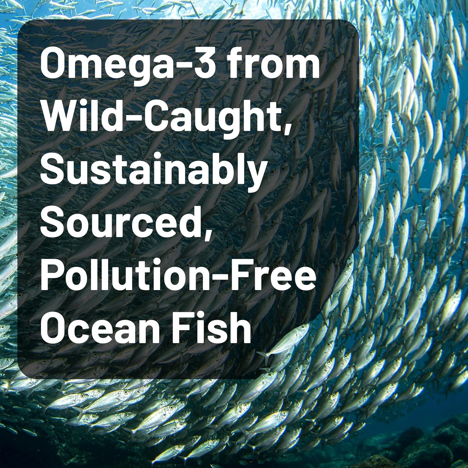 image:imageNatureWise Ultra Omega 3 Fish Oil 2200 mg 1300 mg Omega3 Triglyceride Form Lemon Flavor WildCaught Fish Oil EPA amp DHA Burpless NonGMO 60 Softgels1Month Supply60 Count Pack of 1