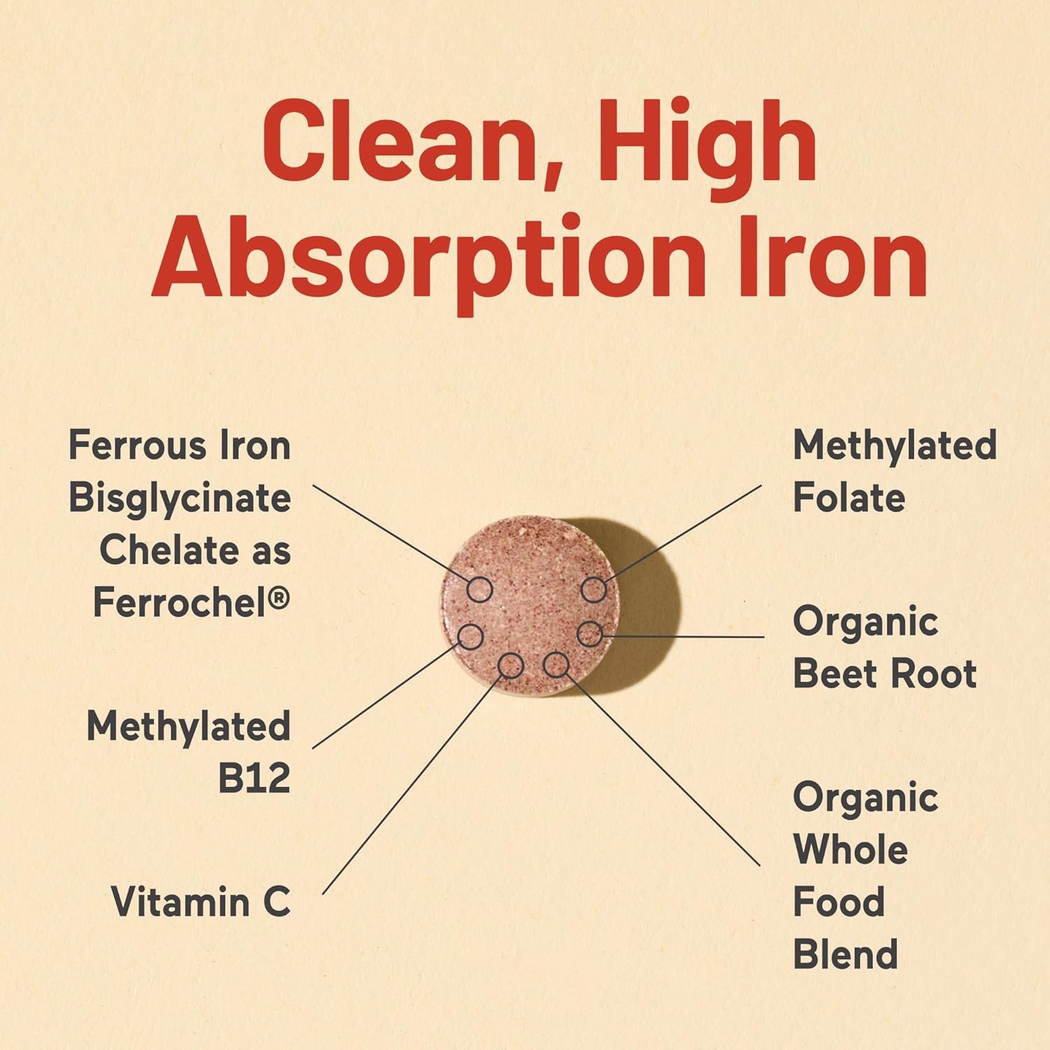 image:imageNatureWise Vegan Iron Supplement for Women amp Men Gentle on Stomach High Absorption Coated Iron Bisglycinate Tablets Vitamin C Methyl B12 Folate amp Organic Food Blend 30 Tablets30Day SupplyUnflavored