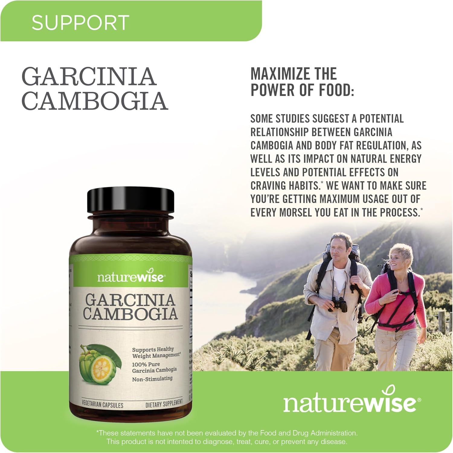 image:imageNaturewise Garcinia Cambogia 60 HCA Concentration Extract Natural Support for Weight Goals and Energy Levels Vegan NonGMO Gluten Free 90 Capsules13 Month Supply180 Count Pack of 2