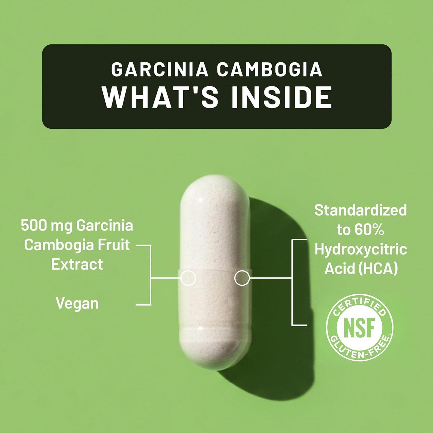 image:imageNaturewise Garcinia Cambogia 60 HCA Concentration Extract Natural Support for Weight Goals and Energy Levels Vegan NonGMO Gluten Free 90 Capsules13 Month Supply90 Count Pack of 1